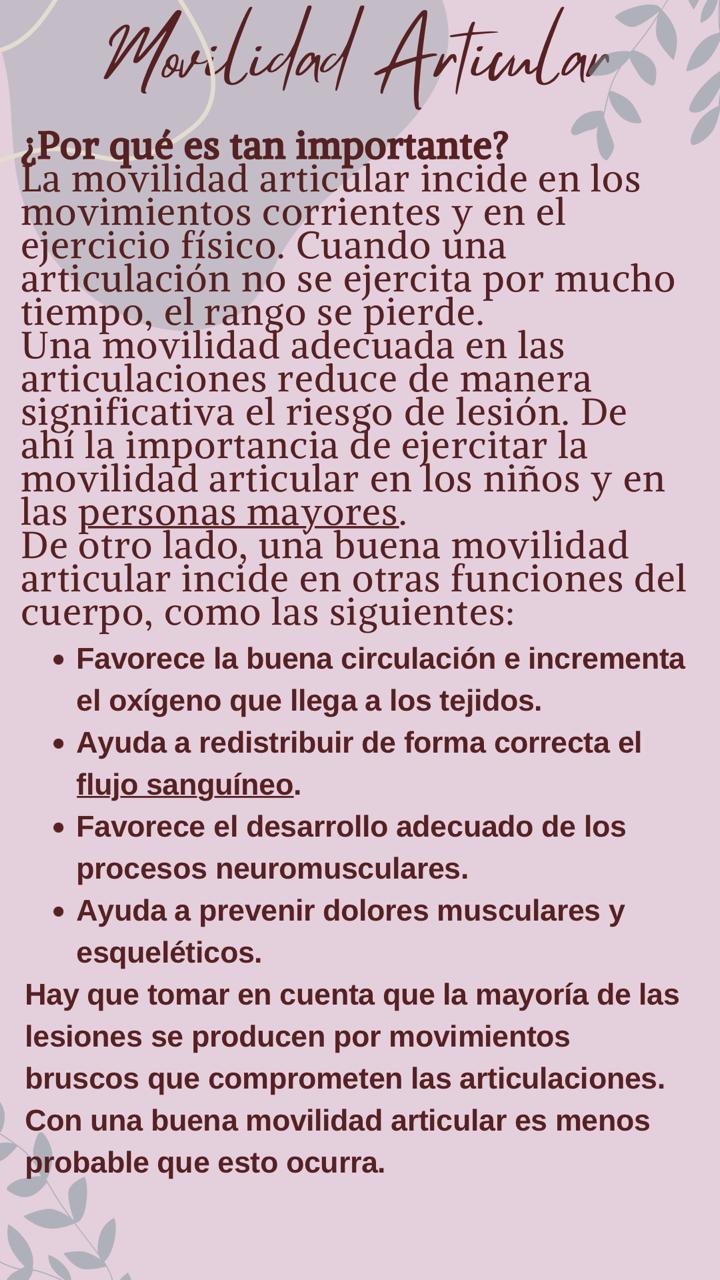Movilidad Articular